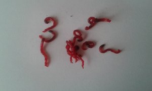 20140125_100806.jpg