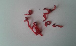 20140125_100811.jpg