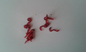 20140125_100819.jpg