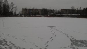 IMAG0355.jpg