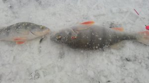 IMAG0409.jpg