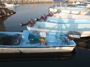DSCF3947.JPG