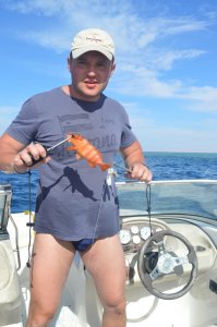 DSC_0779.JPG