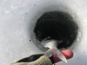 IMG_1596.JPG