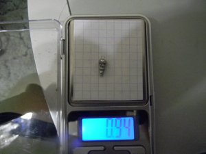 DSCN9129.JPG