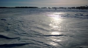 WP_20140202_043.jpg