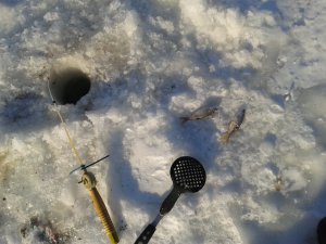 2014-02-02 14.18.42.jpg