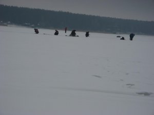 IMG_0080.JPG