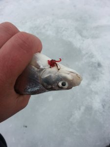 20140211_085440.jpg