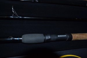 DSC_1195.JPG