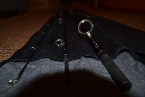 DSC_1196.JPG