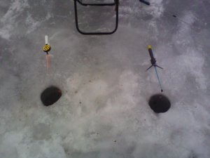 IMG_20140212_113152.jpg