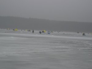 IMG_3710.jpg