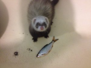 IMG_0398.JPG