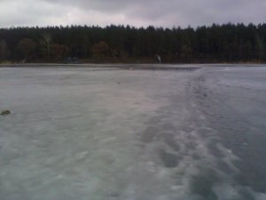 IMG_20140220_105548.jpg