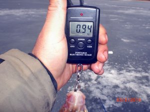 CIMG1038.JPG