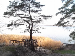 DSCF9280.JPG