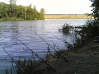 11082010(009).jpg