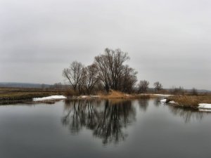 IMG_1692.JPG