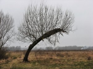 IMG_1703.JPG