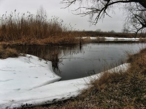 IMG_1704.JPG