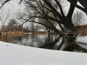 IMG_1706.JPG