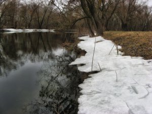 IMG_1708.JPG