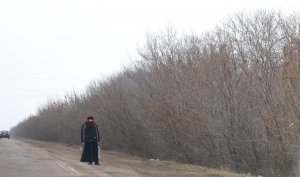 Батюшка.jpg