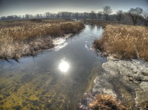DSCN1341_2_3_tonemapped.jpg