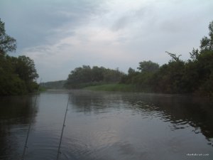 21243.jpg
