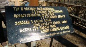 WP_20140323_058.jpg