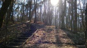 WP_20140323_008.jpg