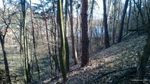 WP_20140323_010.jpg