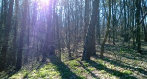 WP_20140323_012.jpg