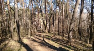 WP_20140323_015.jpg