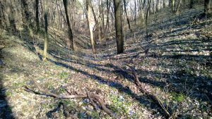 WP_20140323_016.jpg