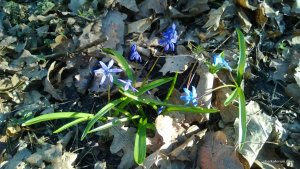 WP_20140323_017.jpg