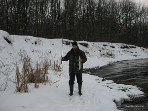 pic31012010_20_microjig.jpg