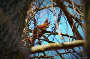 DSC_1157.JPG