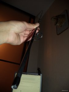 DSC01096.JPG