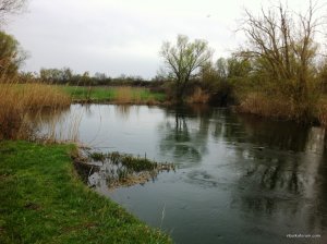 IMG_0633.JPG