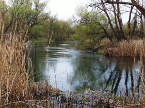 IMG_0634.JPG