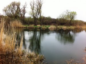 IMG_0637.JPG