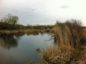 IMG_0640.JPG