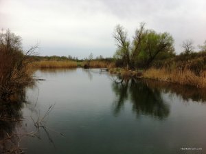IMG_0641.JPG