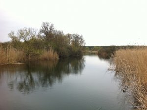 IMG_0644.JPG