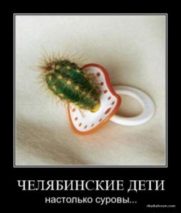 www.demotivations.infow.jpg