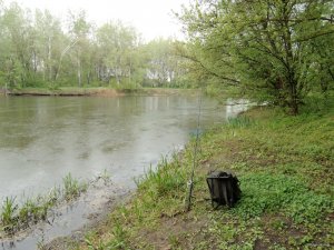 Гениевка 2014-04-29_05.JPG