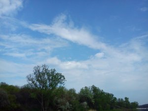 DSC00431.jpg