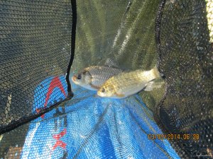 IMG_0860.JPG